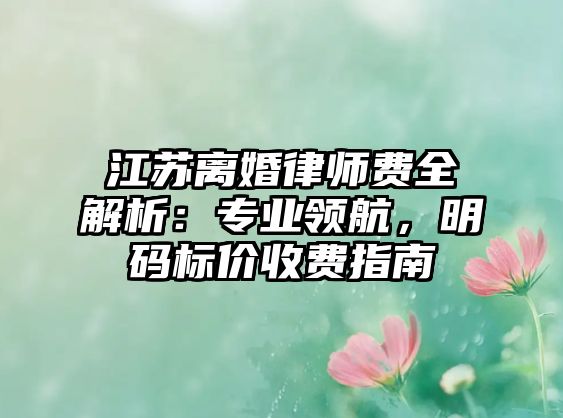 江蘇離婚律師費全解析：專業領航，明碼標價收費指南