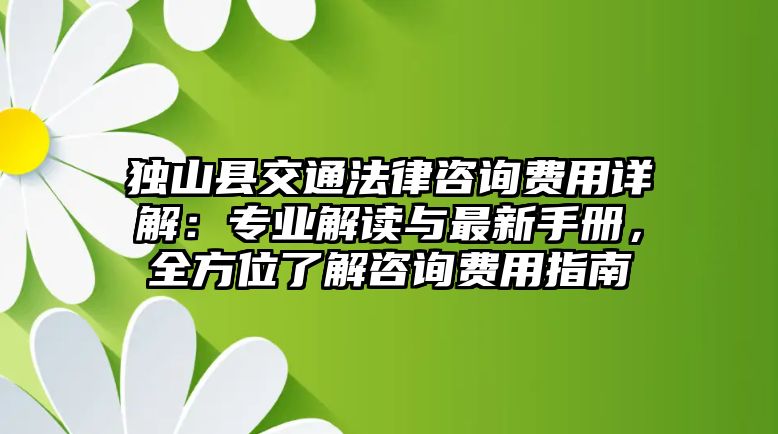 獨山縣交通法律咨詢費用詳解：專業解讀與最新手冊，全方位了解咨詢費用指南