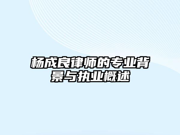 楊成良律師的專(zhuān)業(yè)背景與執(zhí)業(yè)概述