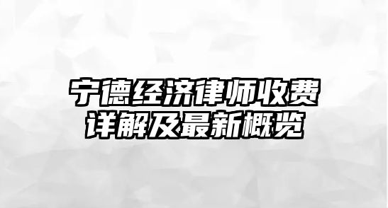 寧德經濟律師收費詳解及最新概覽