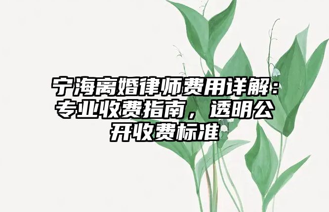 寧海離婚律師費(fèi)用詳解：專業(yè)收費(fèi)指南，透明公開(kāi)收費(fèi)標(biāo)準(zhǔn)