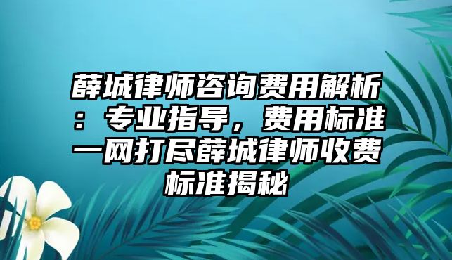 薛城律師咨詢費用解析：專業指導，費用標準一網打盡薛城律師收費標準揭秘