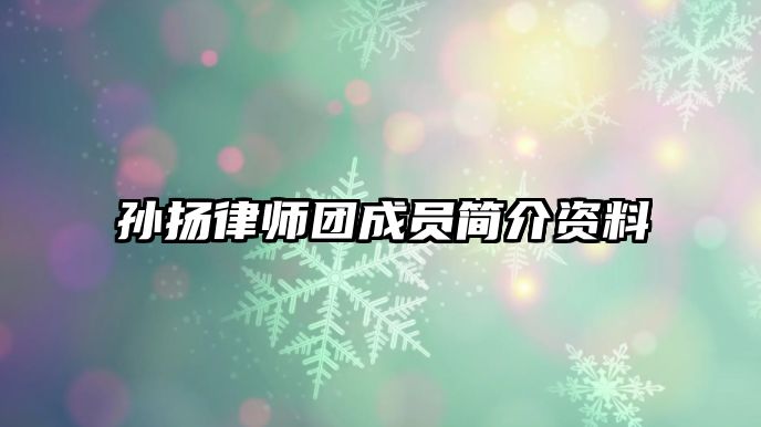 孫揚律師團成員簡介資料