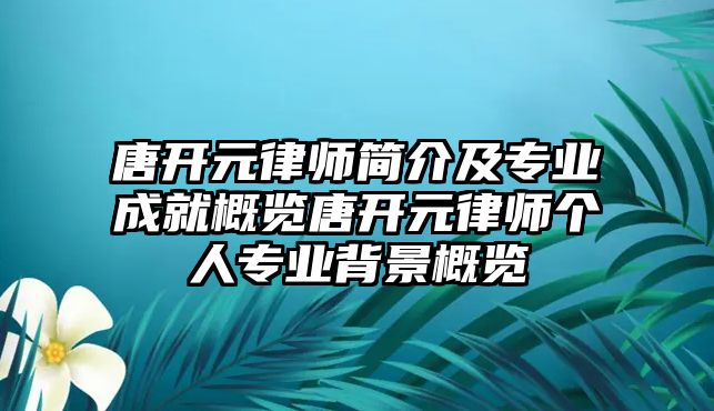 唐開元律師簡介及專業成就概覽唐開元律師個人專業背景概覽