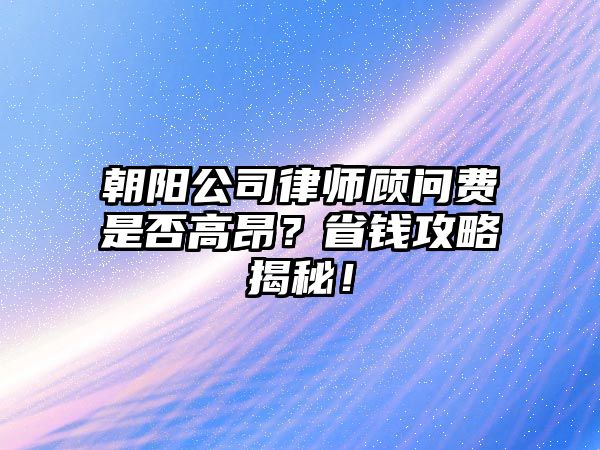 朝陽公司律師顧問費(fèi)是否高昂？省錢攻略揭秘！