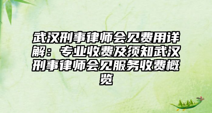 武漢刑事律師會見費用詳解：專業收費及須知武漢刑事律師會見服務收費概覽
