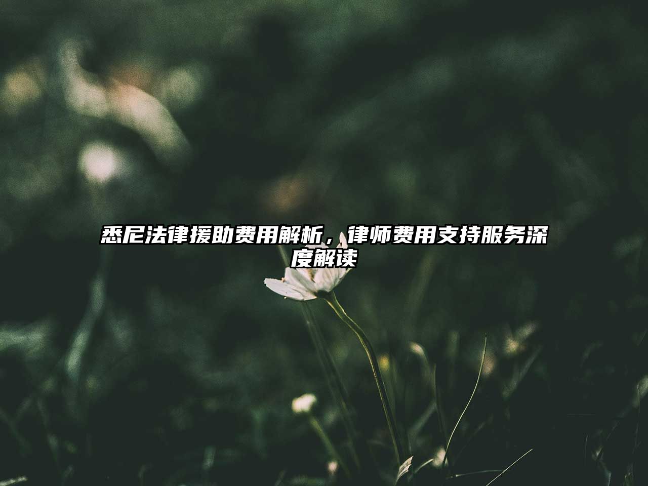 悉尼法律援助費用解析，律師費用支持服務(wù)深度解讀