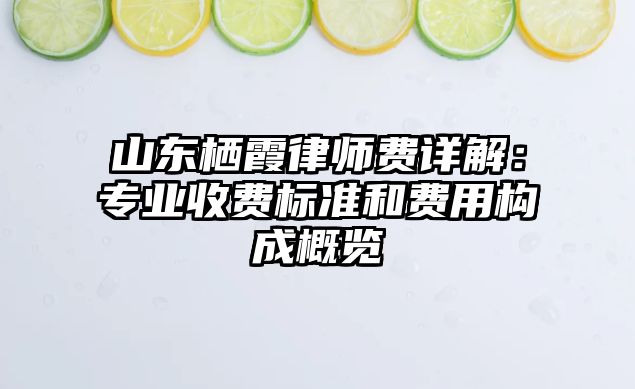 山東棲霞律師費詳解：專業收費標準和費用構成概覽