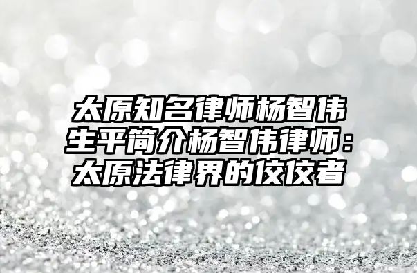 太原知名律師楊智偉生平簡介楊智偉律師：太原法律界的佼佼者