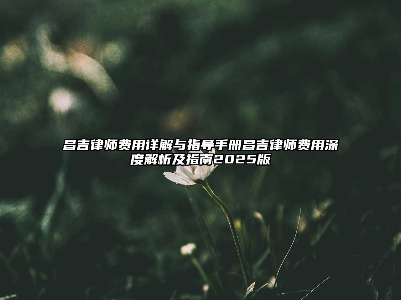 昌吉律師費(fèi)用詳解與指導(dǎo)手冊昌吉律師費(fèi)用深度解析及指南2025版
