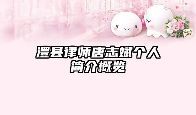 澧縣律師唐志斌個人簡介概覽