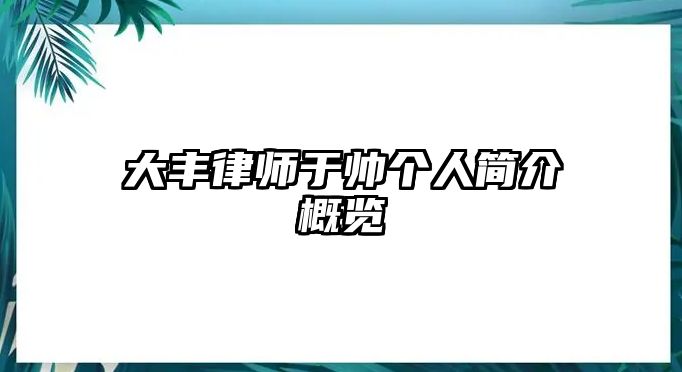 大豐律師于帥個人簡介概覽