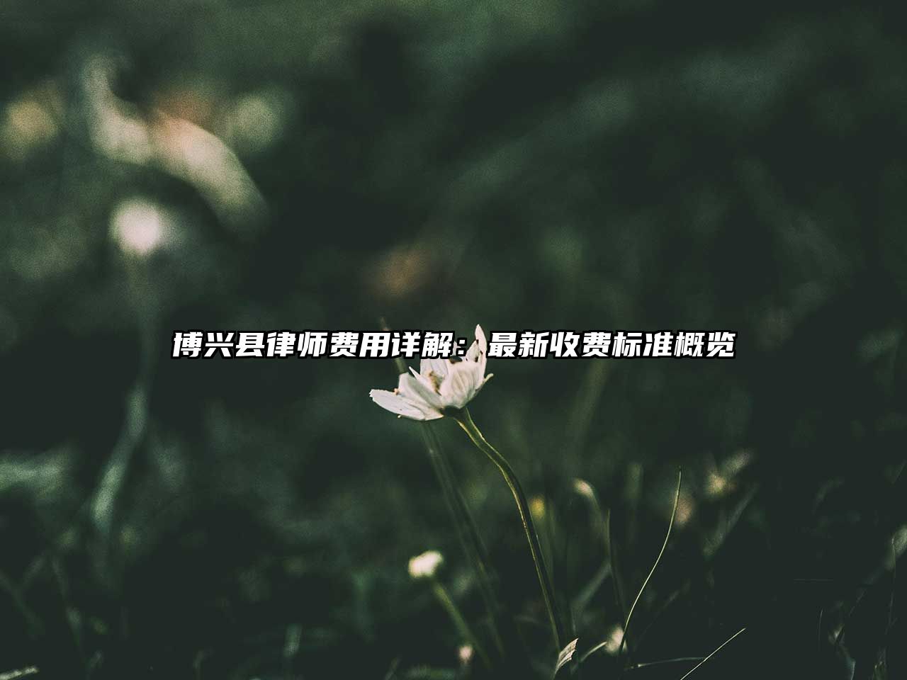 博興縣律師費用詳解：最新收費標(biāo)準(zhǔn)概覽