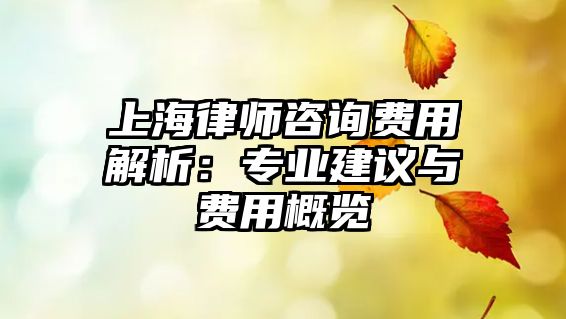 上海律師咨詢費用解析：專業建議與費用概覽
