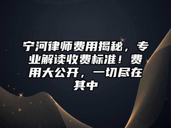 寧河律師費用揭秘，專業解讀收費標準！費用大公開，一切盡在其中