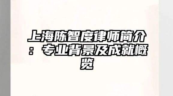 上海陳智度律師簡介：專業背景及成就概覽