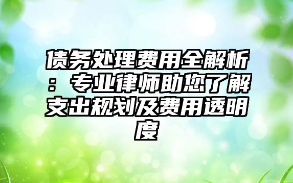 債務處理費用全解析：專業律師助您了解支出規劃及費用透明度