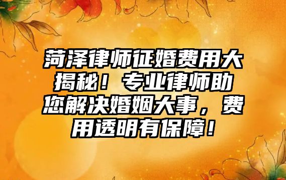 菏澤律師征婚費(fèi)用大揭秘！專業(yè)律師助您解決婚姻大事，費(fèi)用透明有保障！