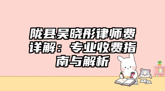 隴縣吳曉彤律師費詳解：專業收費指南與解析