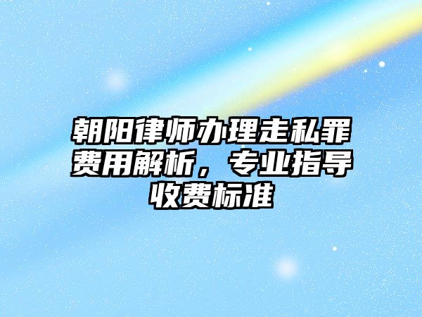 朝陽律師辦理走私罪費用解析，專業指導收費標準