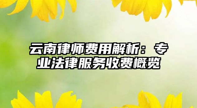 云南律師費用解析：專業法律服務收費概覽
