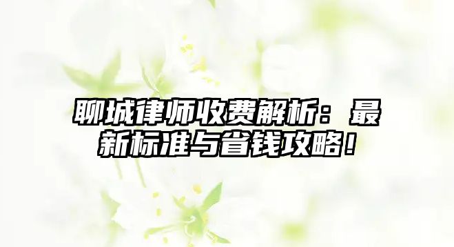 聊城律師收費解析：最新標準與省錢攻略！