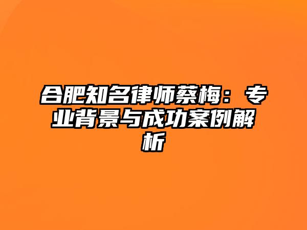 合肥知名律師蔡梅：專業背景與成功案例解析