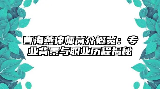 曹海燕律師簡介概覽：專業背景與職業歷程揭秘
