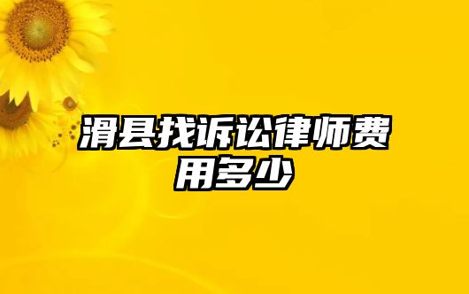 滑縣找訴訟律師費用多少