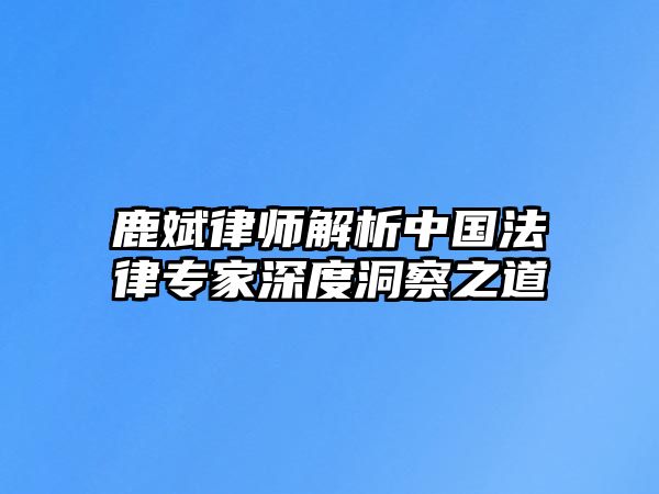 鹿斌律師解析中國法律專家深度洞察之道