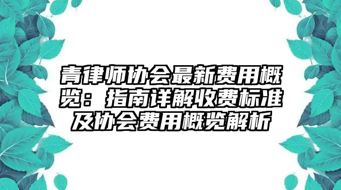 青律師協(xié)會(huì)最新費(fèi)用概覽：指南詳解收費(fèi)標(biāo)準(zhǔn)及協(xié)會(huì)費(fèi)用概覽解析