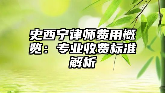 史西寧律師費用概覽：專業(yè)收費標(biāo)準(zhǔn)解析