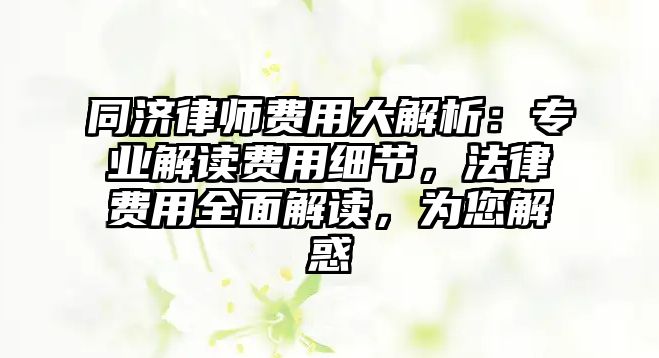 同濟律師費用大解析：專業解讀費用細節，法律費用全面解讀，為您解惑