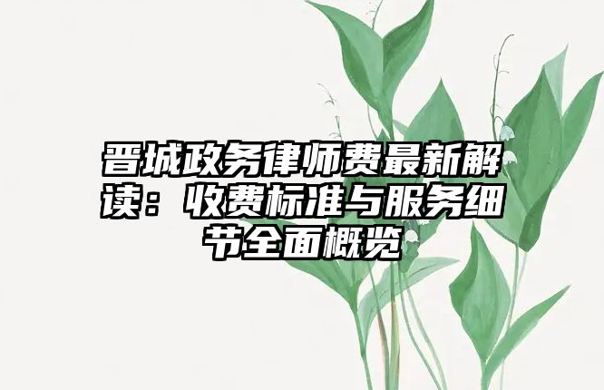 晉城政務(wù)律師費(fèi)最新解讀：收費(fèi)標(biāo)準(zhǔn)與服務(wù)細(xì)節(jié)全面概覽
