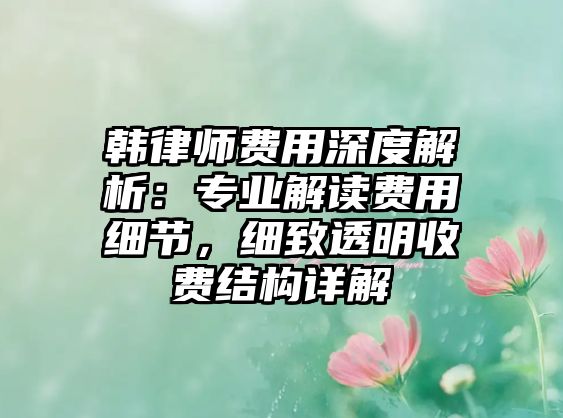 韓律師費用深度解析：專業解讀費用細節，細致透明收費結構詳解