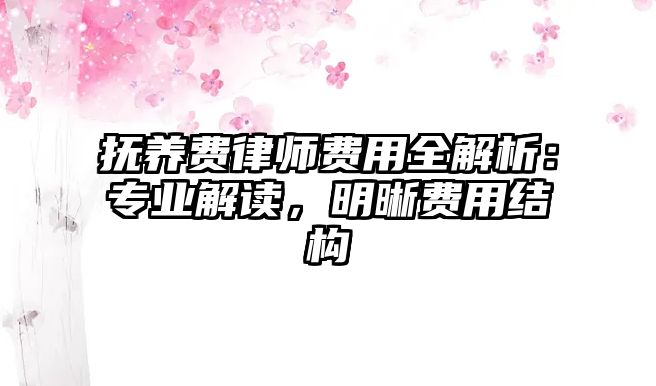 撫養(yǎng)費律師費用全解析：專業(yè)解讀，明晰費用結(jié)構(gòu)