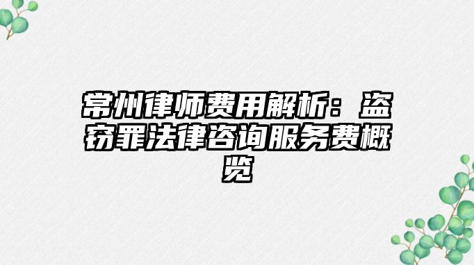 常州律師費用解析：盜竊罪法律咨詢服務費概覽