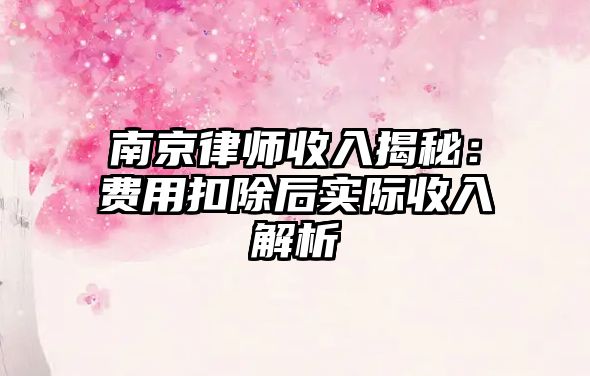 南京律師收入揭秘：費用扣除后實際收入解析