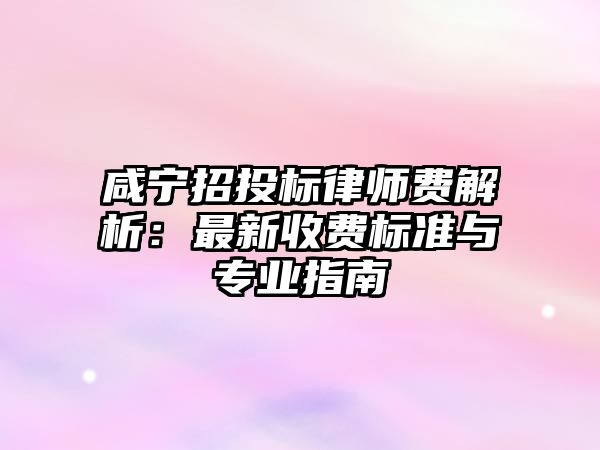 咸寧招投標律師費解析：最新收費標準與專業指南