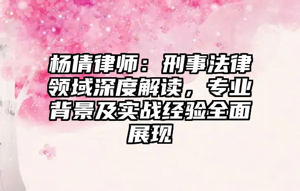 楊倩律師：刑事法律領域深度解讀，專業背景及實戰經驗全面展現