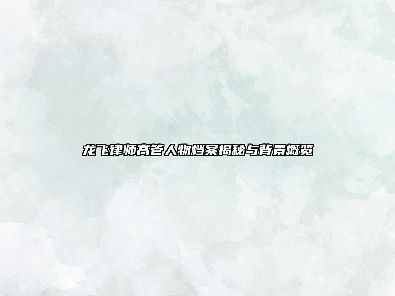 龍飛律師高管人物檔案揭秘與背景概覽